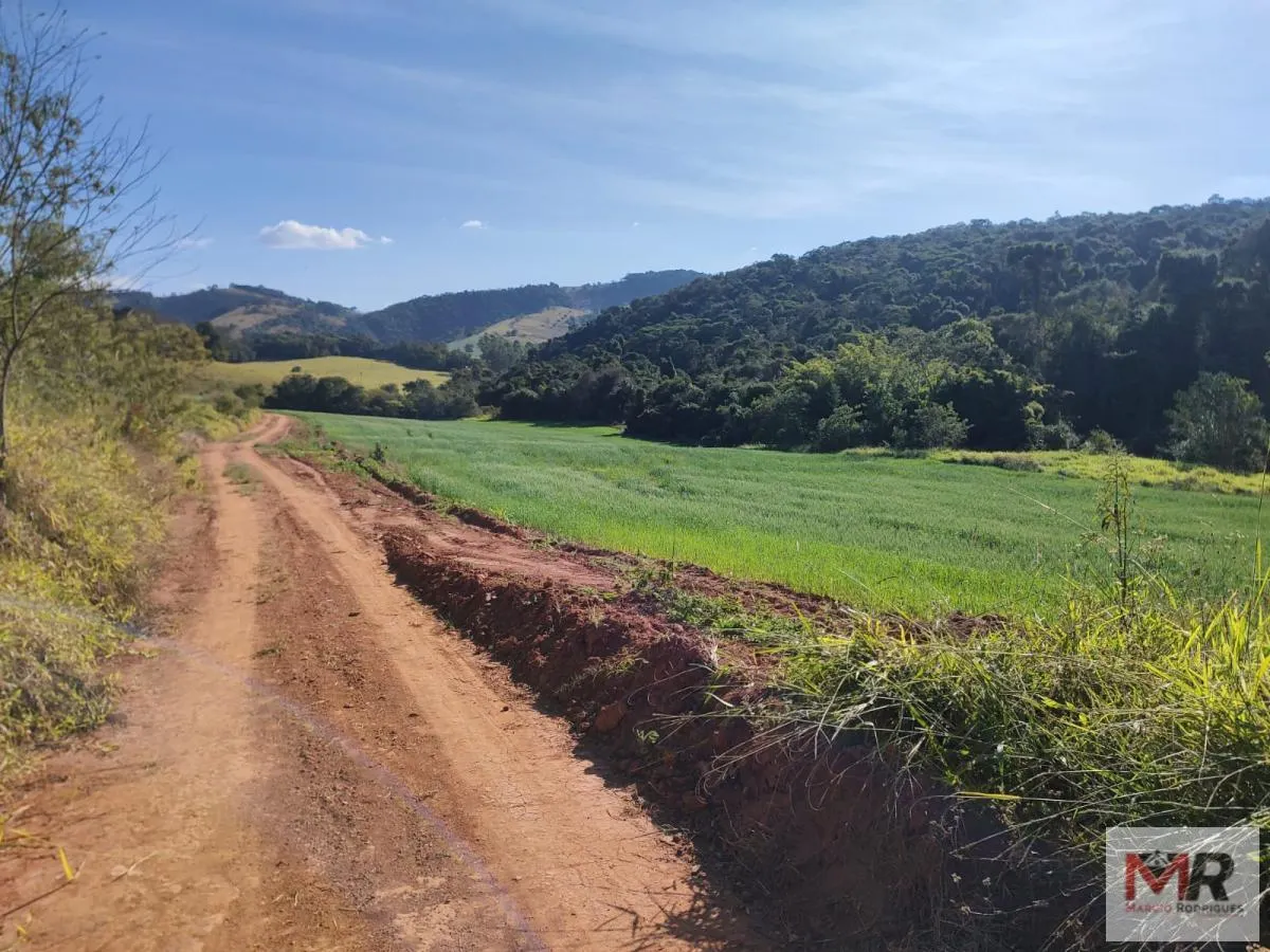 Plot for sale of 60 acres in Silvianópolis, MG, Brazil