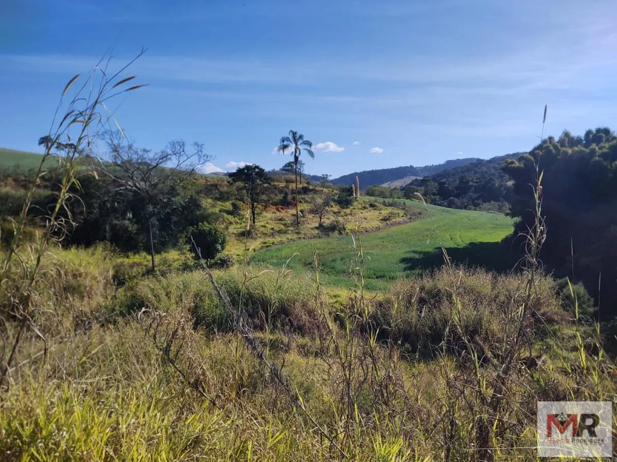 Plot for sale of 60 acres in Silvianópolis, MG, Brazil