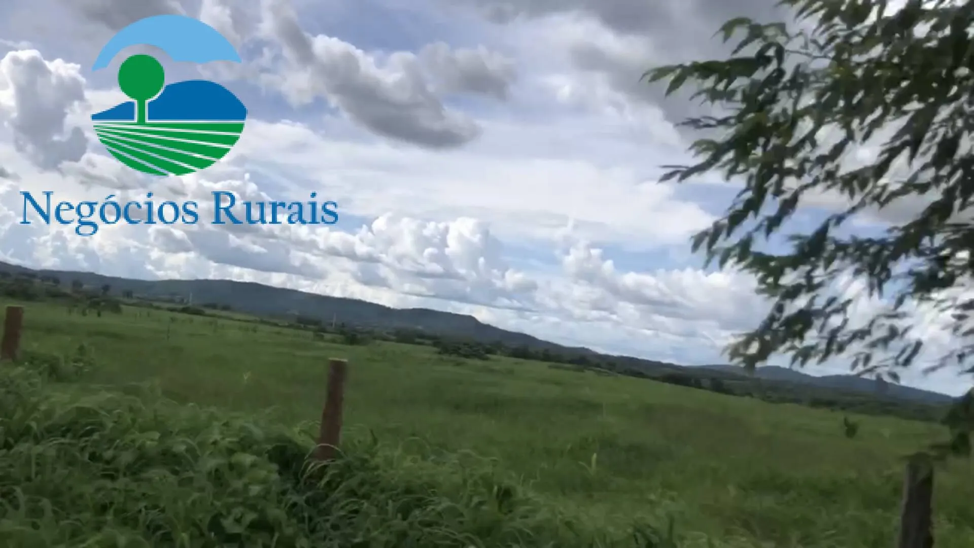 Fazenda à venda de 871 ha em Mara Rosa, GO, Brasil