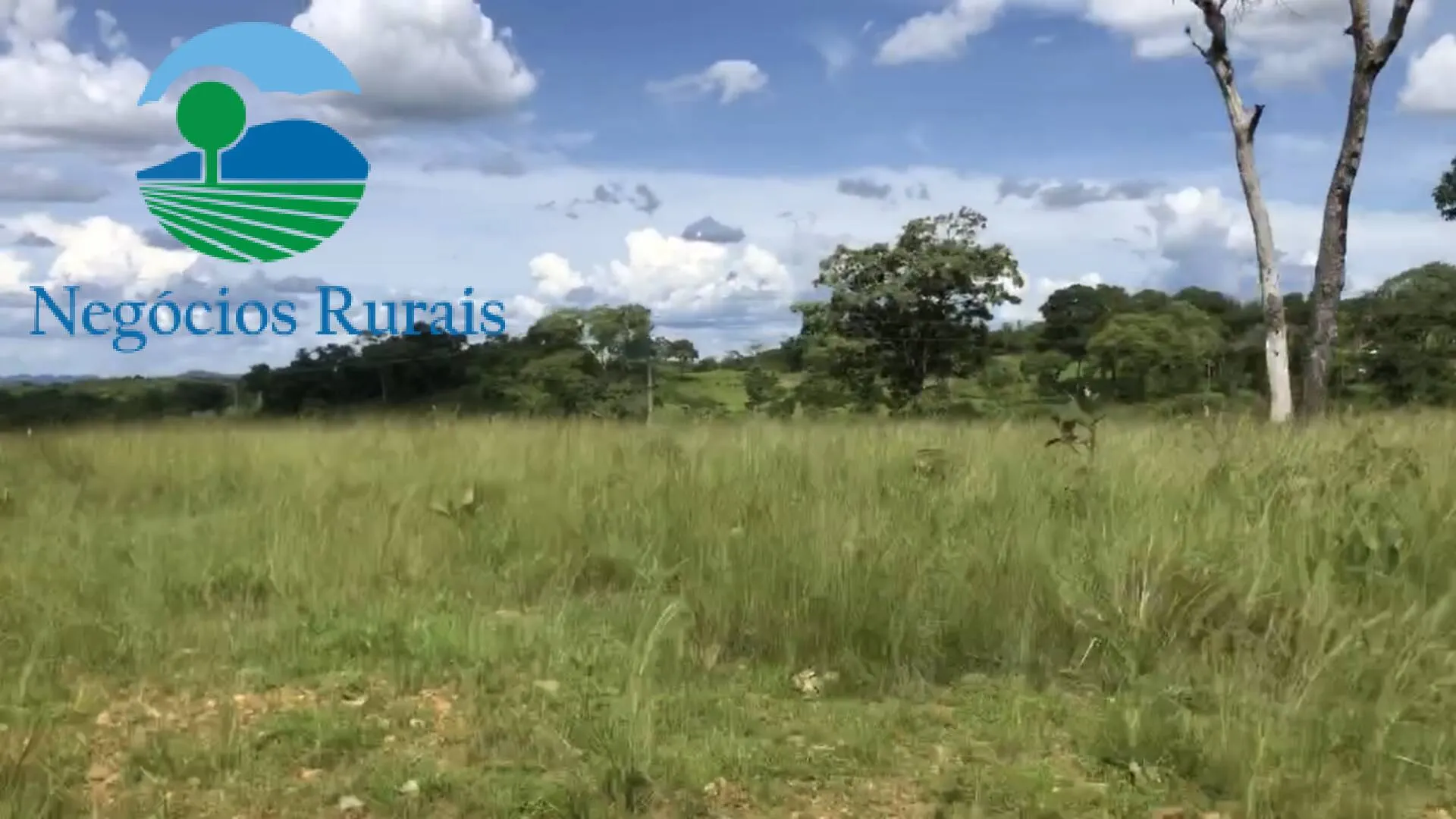 Fazenda à venda de 871 ha em Mara Rosa, GO, Brasil