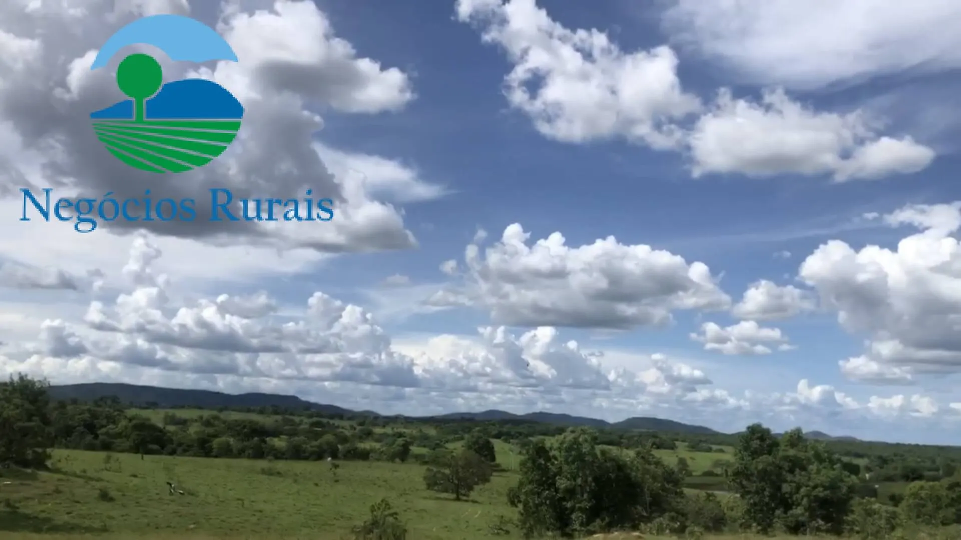 Fazenda à venda de 871 ha em Mara Rosa, GO, Brasil