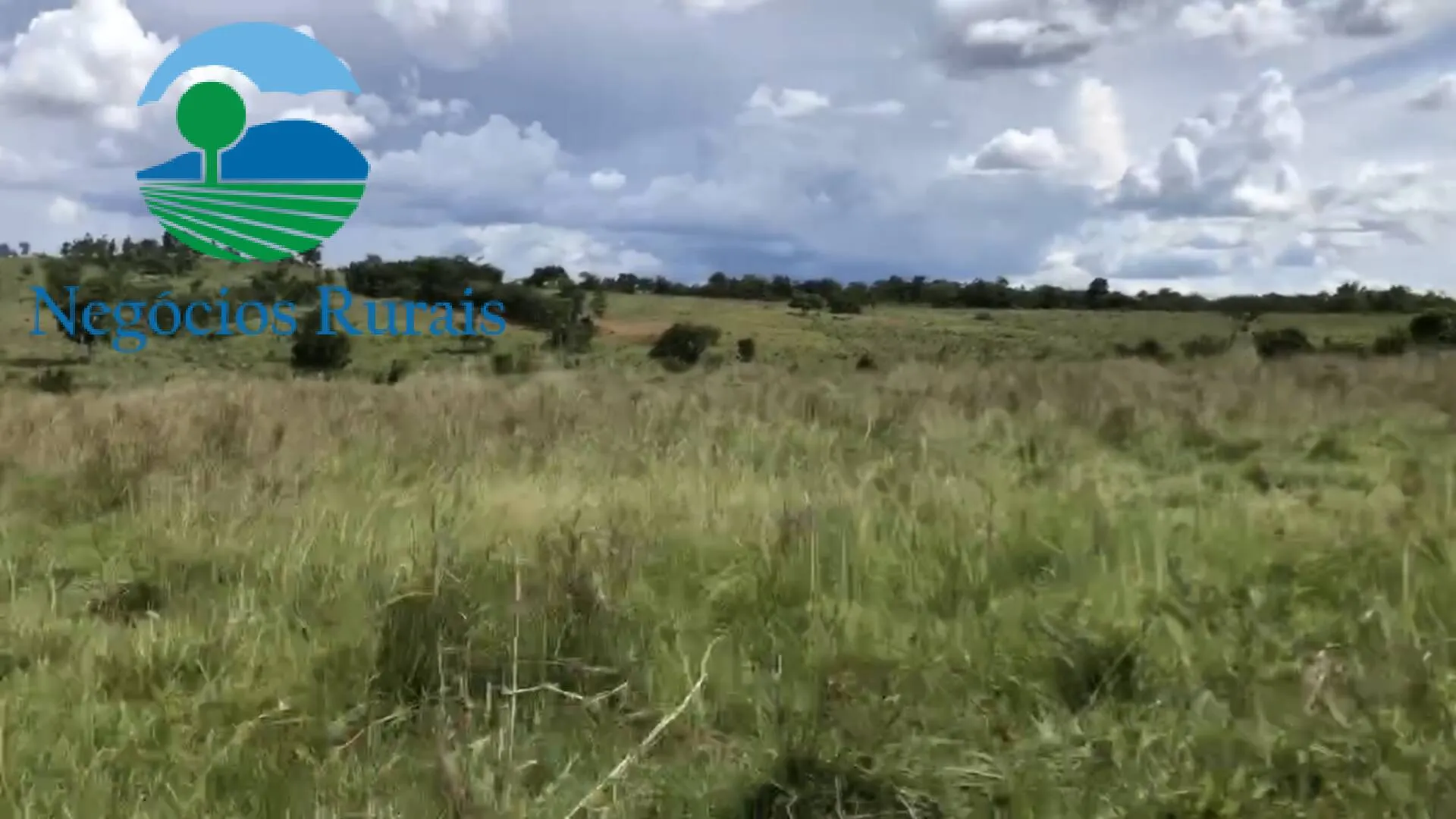 Fazenda à venda de 871 ha em Mara Rosa, GO, Brasil