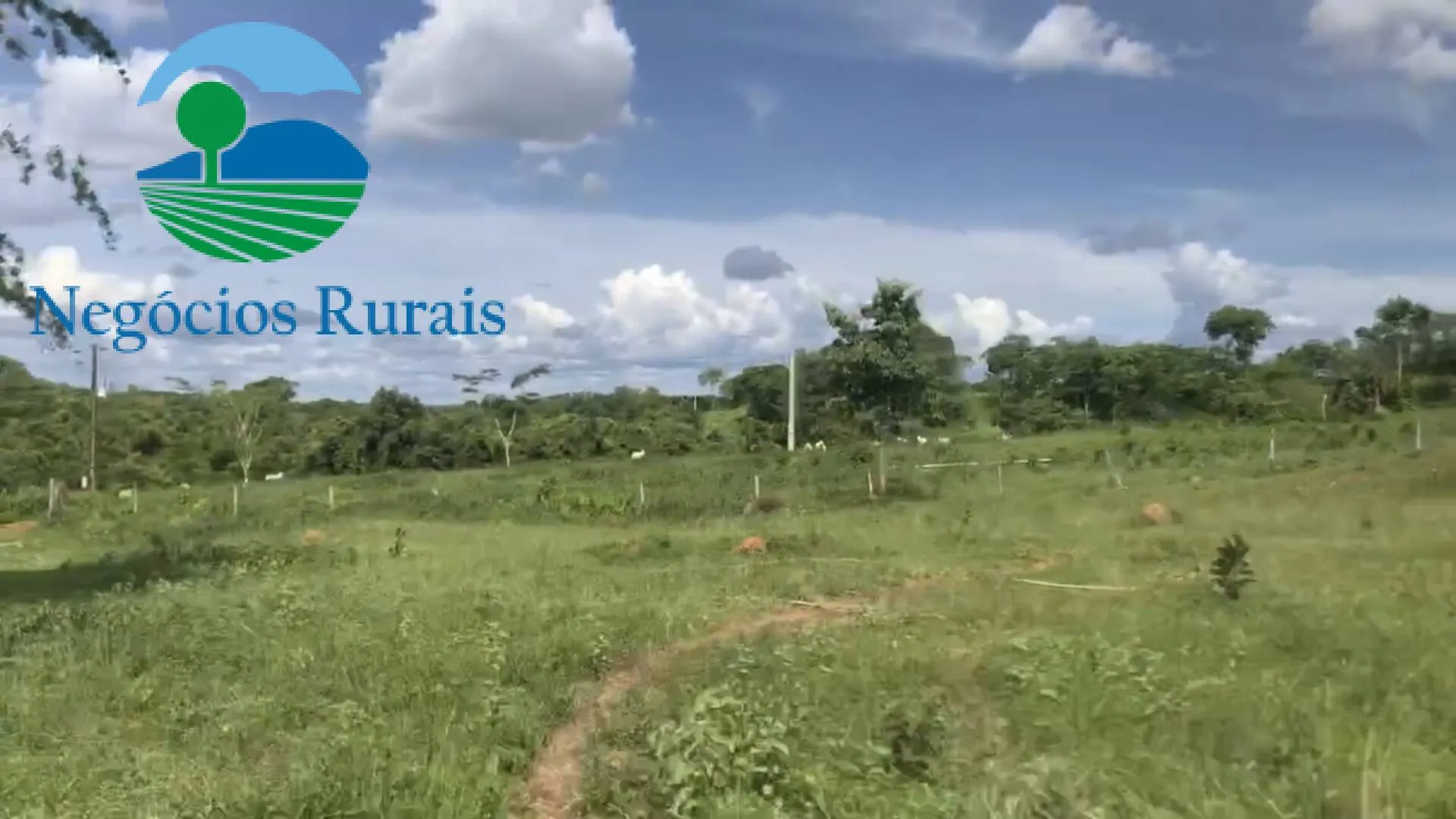 Fazenda à venda de 871 ha em Mara Rosa, GO, Brasil