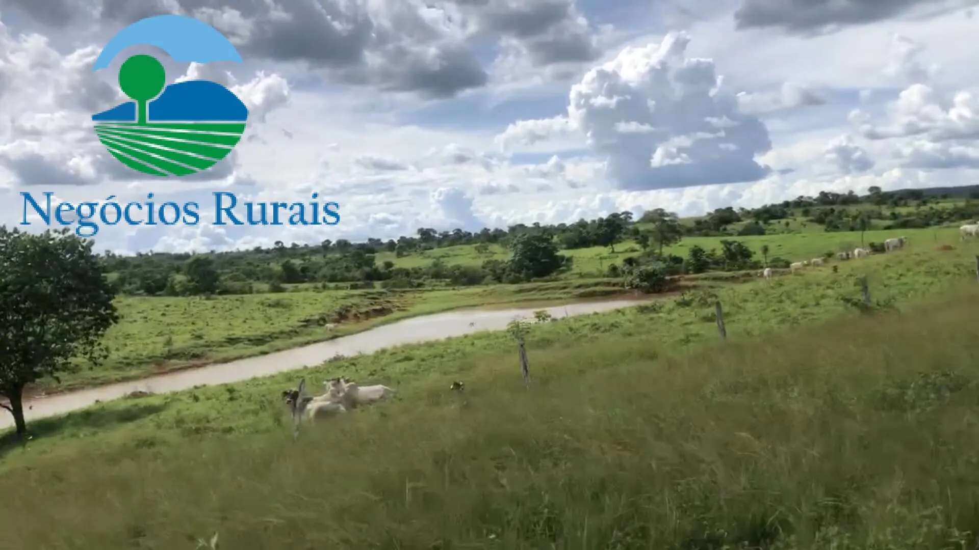Fazenda à venda de 871 ha em Mara Rosa, GO, Brasil