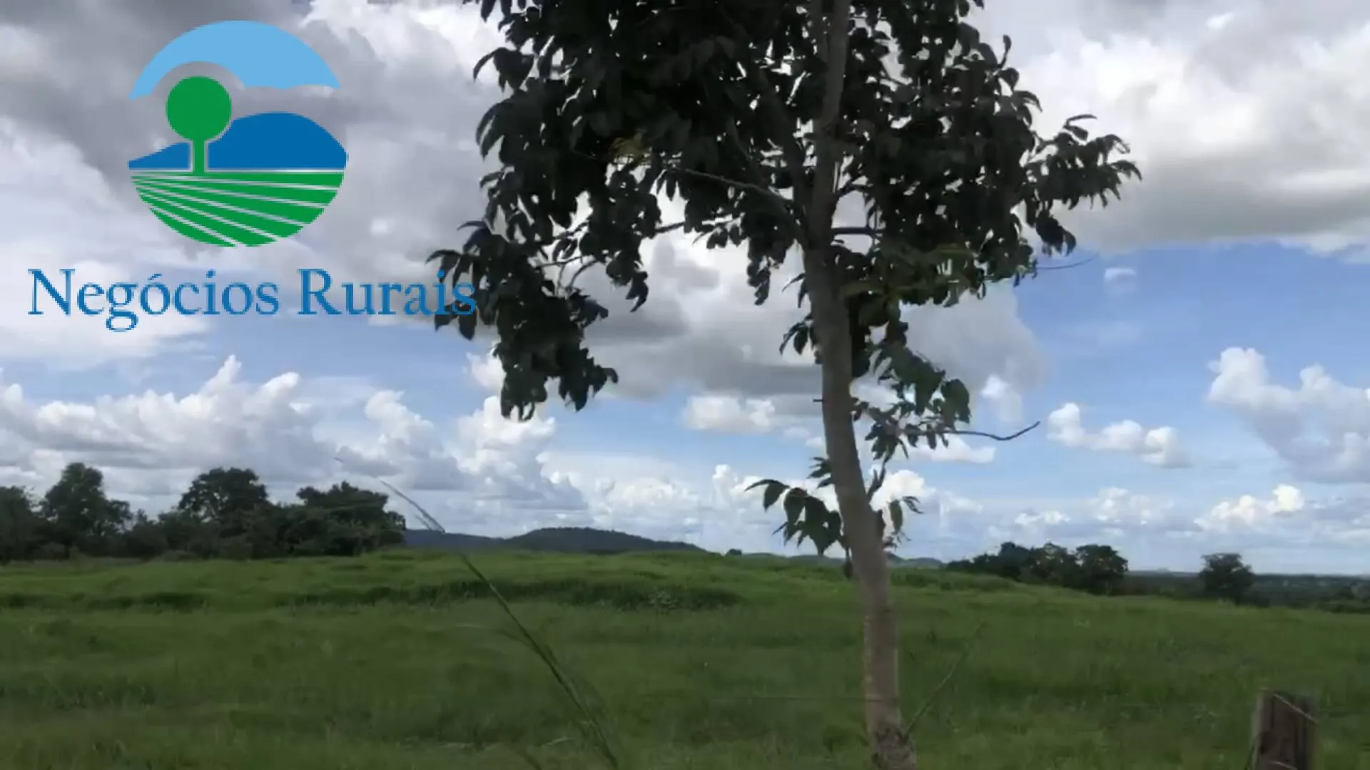 Fazenda à venda de 871 ha em Mara Rosa, GO, Brasil