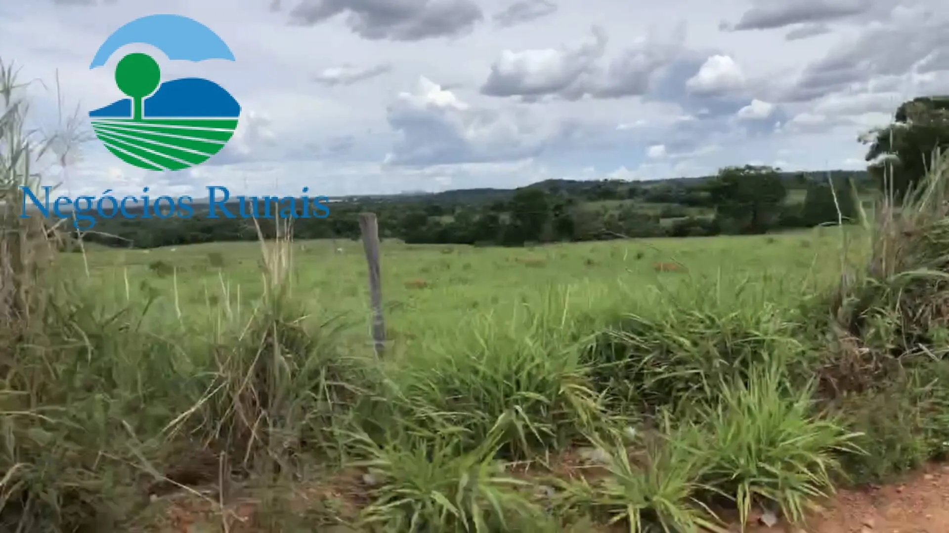 Fazenda à venda de 871 ha em Mara Rosa, GO, Brasil