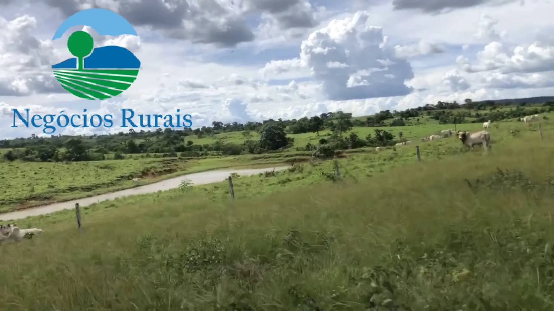 Fazenda à venda de 871 ha em Mara Rosa, GO, Brasil