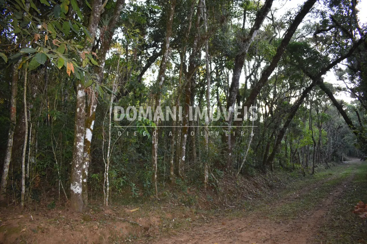 Terreno à venda de 1.100 m² em Campos do Jordão, SP, Brasil