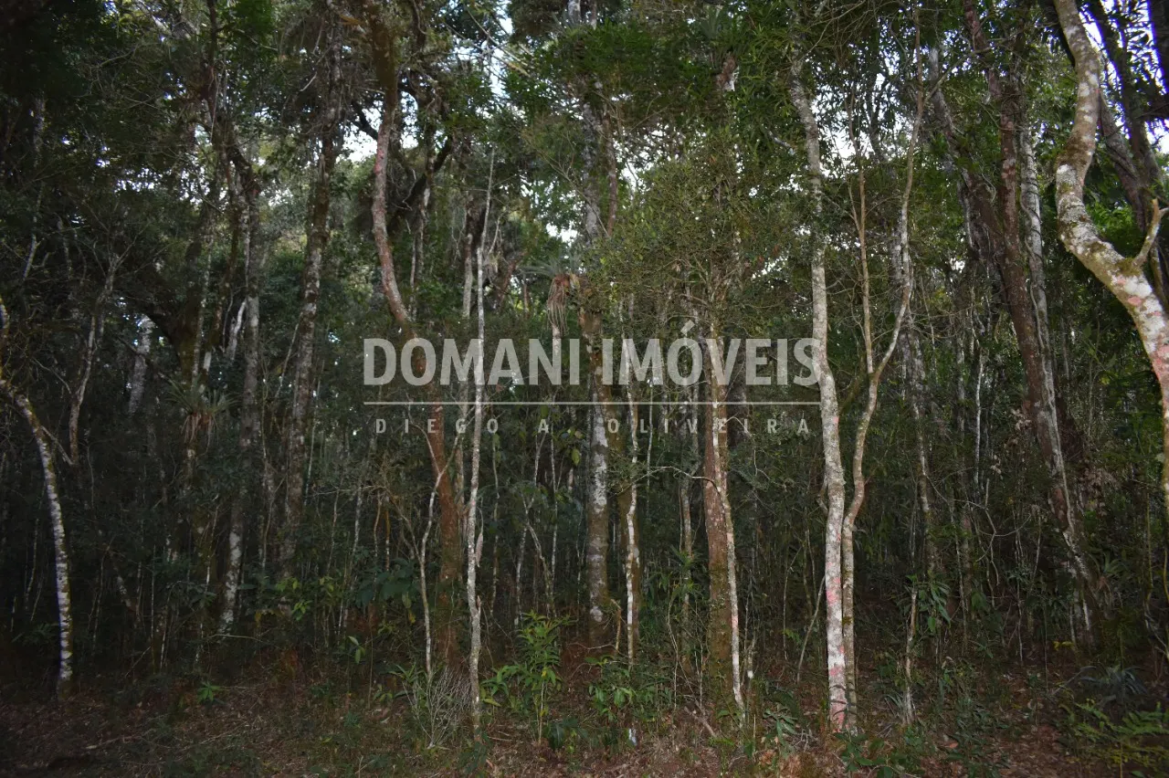 Terreno à venda de 1.100 m² em Campos do Jordão, SP, Brasil