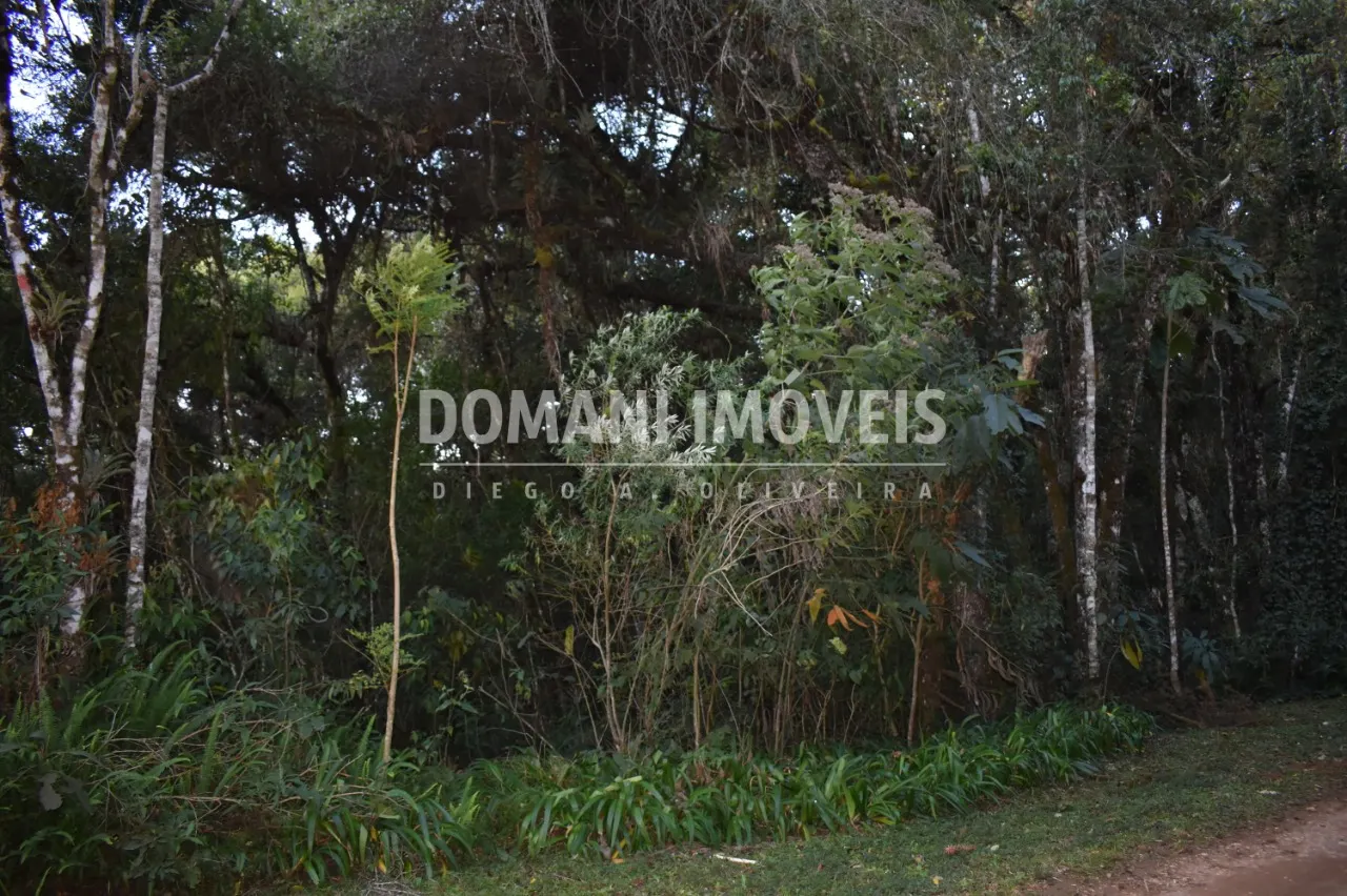 Terreno à venda de 1.100 m² em Campos do Jordão, SP, Brasil