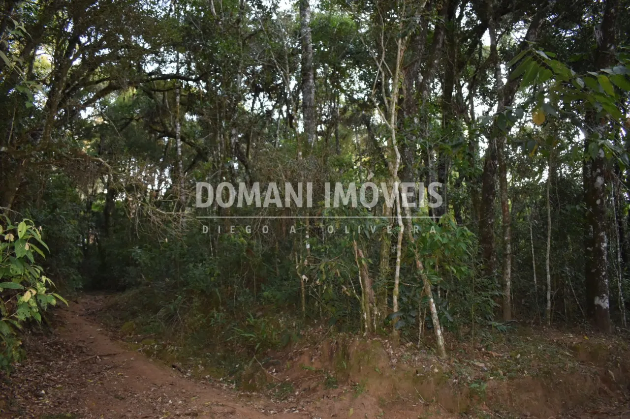 Terreno à venda de 1.100 m² em Campos do Jordão, SP, Brasil