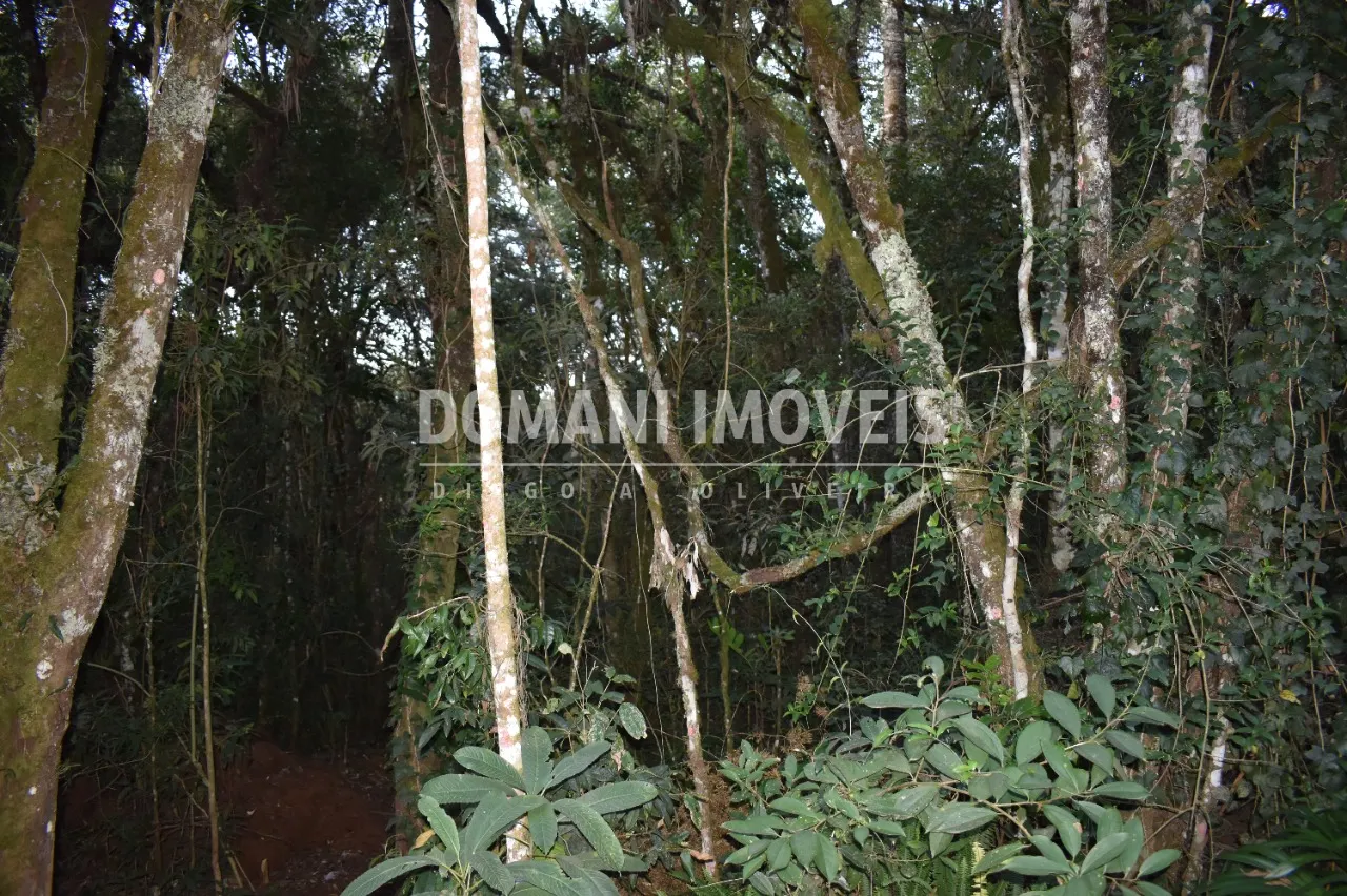 Terreno à venda de 1.100 m² em Campos do Jordão, SP, Brasil