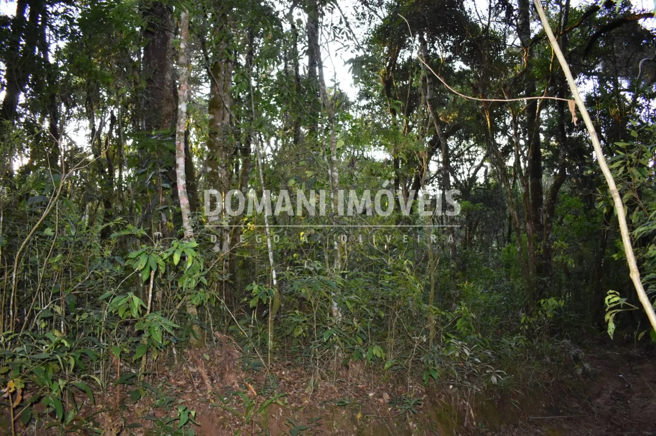 Terreno à venda de 1.100 m² em Campos do Jordão, SP, Brasil