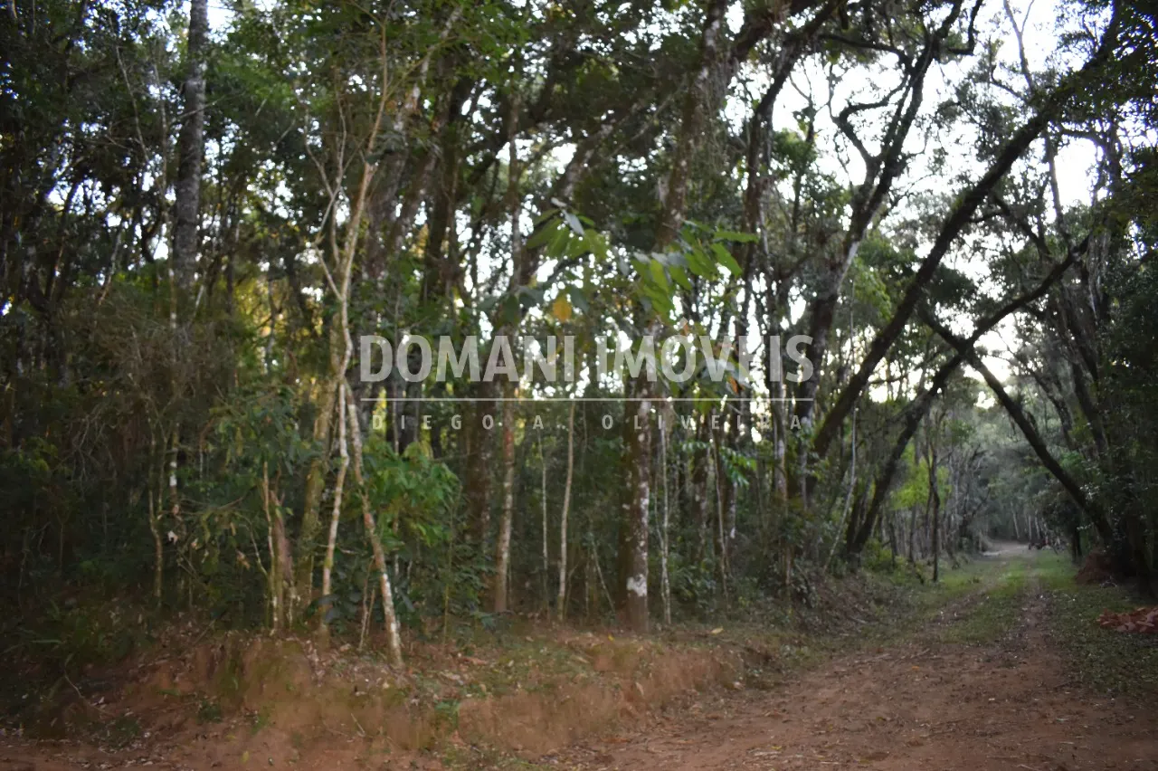 Terreno à venda de 1.100 m² em Campos do Jordão, SP, Brasil