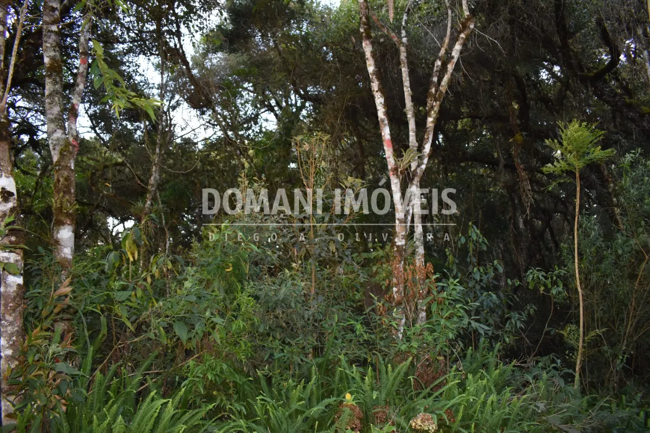 Terreno à venda de 1.100 m² em Campos do Jordão, SP, Brasil