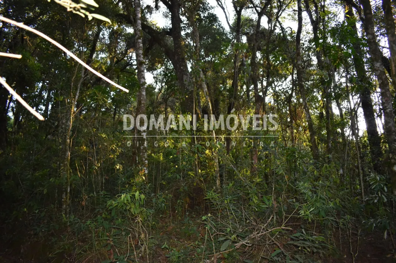 Terreno à venda de 1.100 m² em Campos do Jordão, SP, Brasil