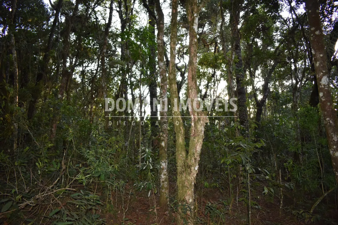 Terreno à venda de 1.100 m² em Campos do Jordão, SP, Brasil
