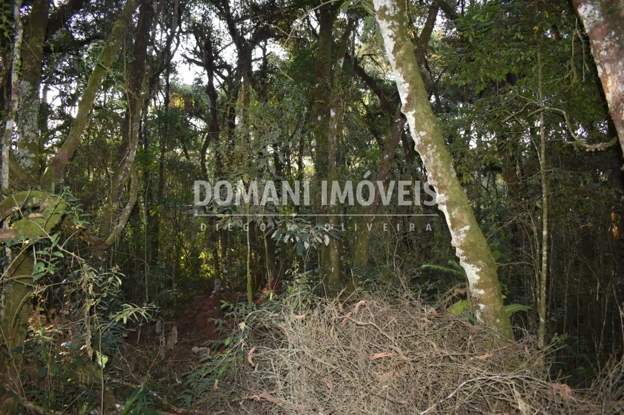 Terreno à venda de 1.100 m² em Campos do Jordão, SP, Brasil