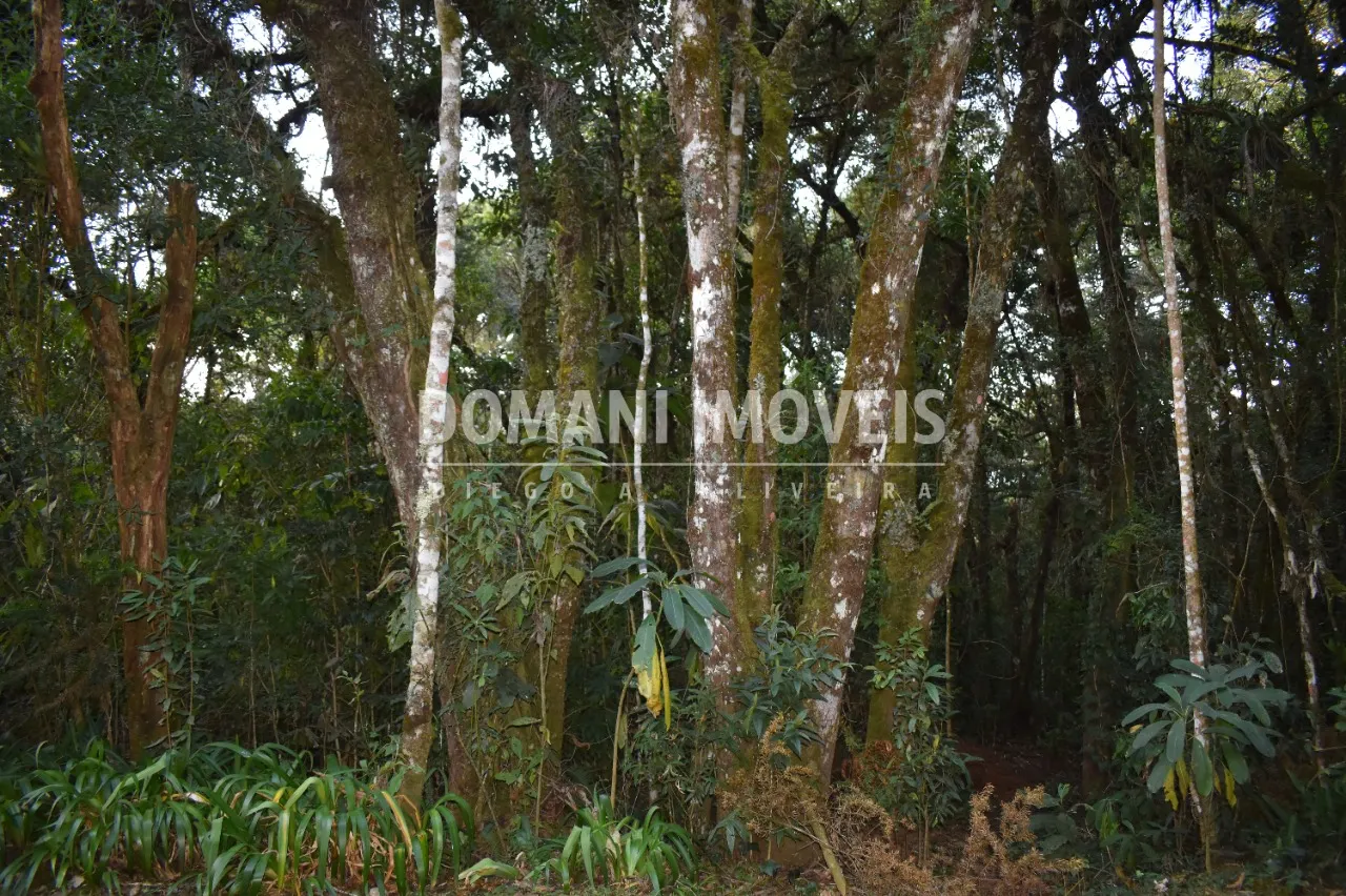 Terreno à venda de 1.100 m² em Campos do Jordão, SP, Brasil