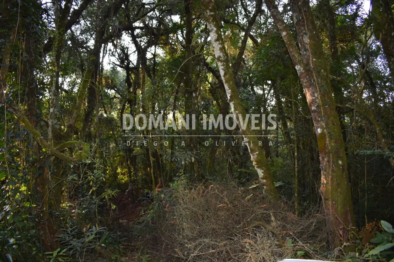 Terreno à venda de 1.100 m² em Campos do Jordão, SP, Brasil