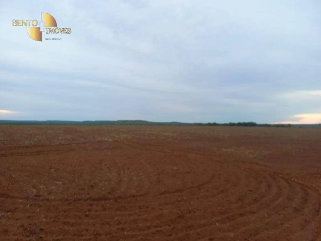 Farm for sale of 21,251 acres in Paranatinga, MT, Brazil