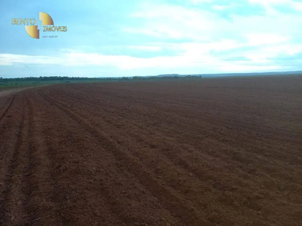 Farm for sale of 21,251 acres in Paranatinga, MT, Brazil