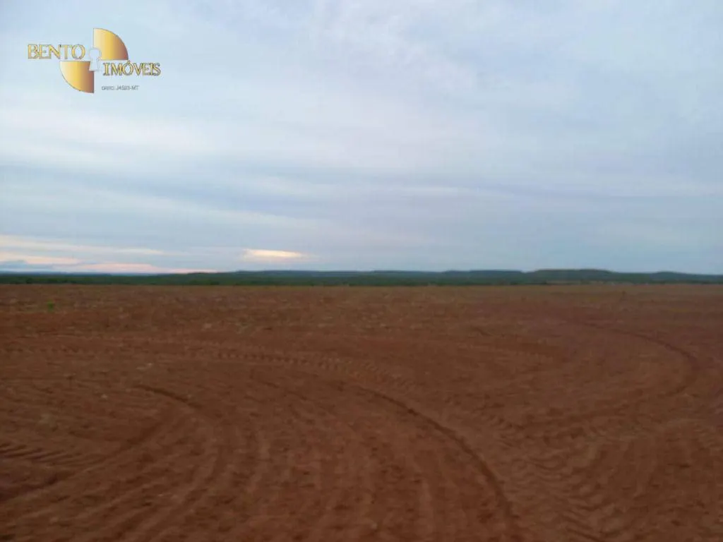 Farm for sale of 21,251 acres in Paranatinga, MT, Brazil