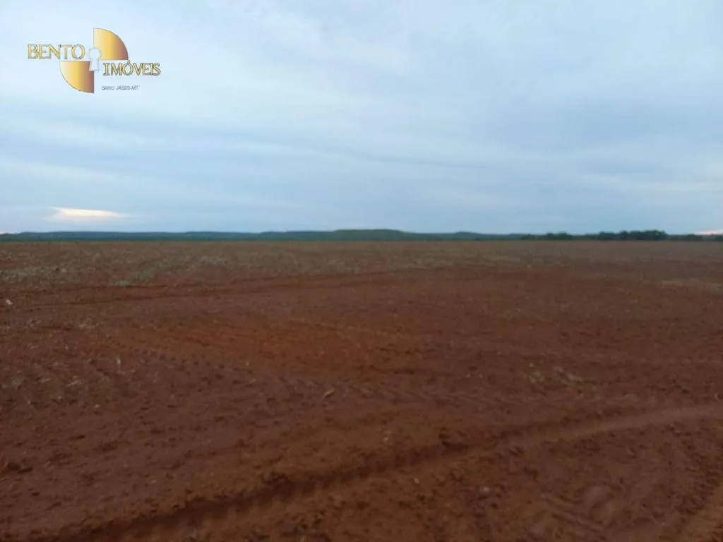 Farm for sale of 21,251 acres in Paranatinga, MT, Brazil