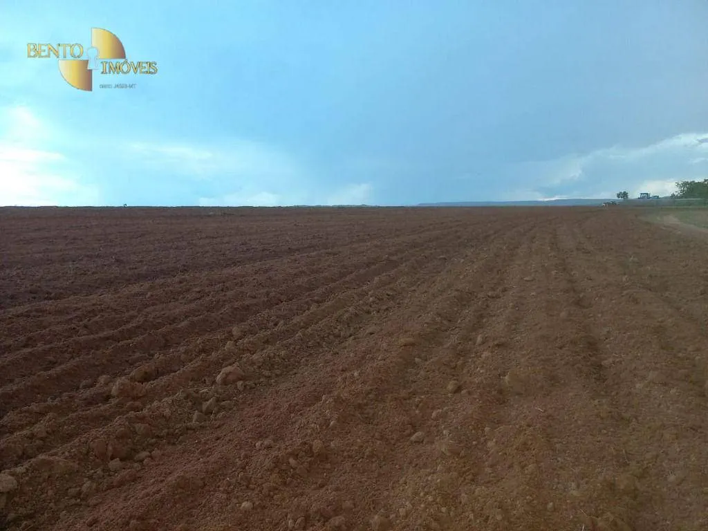 Farm for sale of 21,251 acres in Paranatinga, MT, Brazil