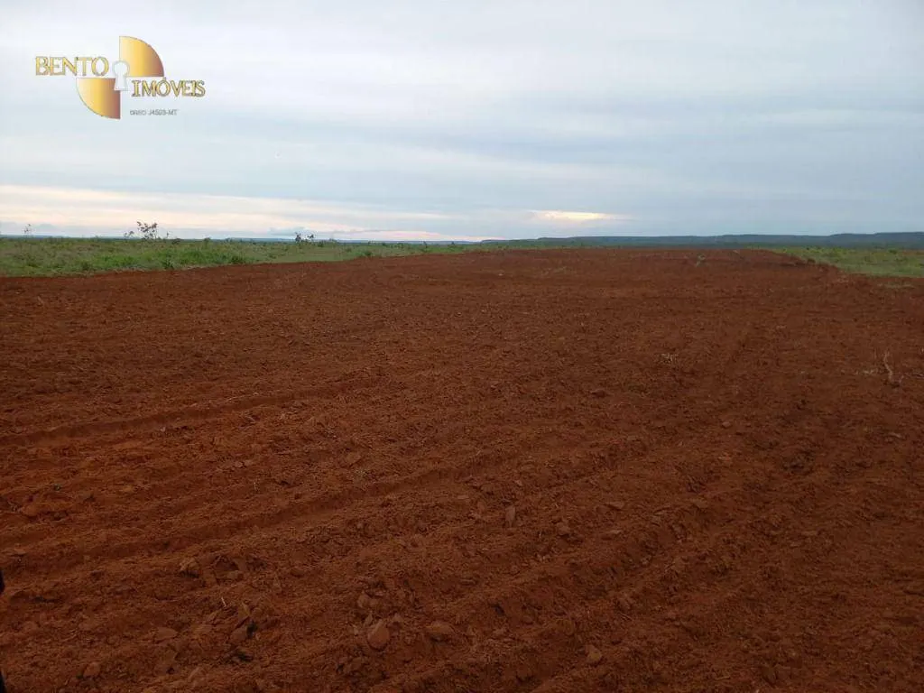Farm for sale of 21,251 acres in Paranatinga, MT, Brazil