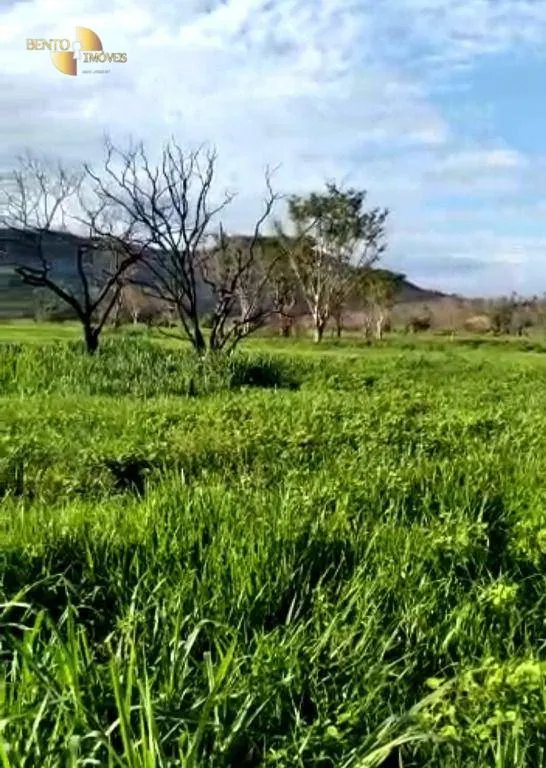 Fazenda à venda de 4.250 ha em Rondonópolis, MT, Brasil