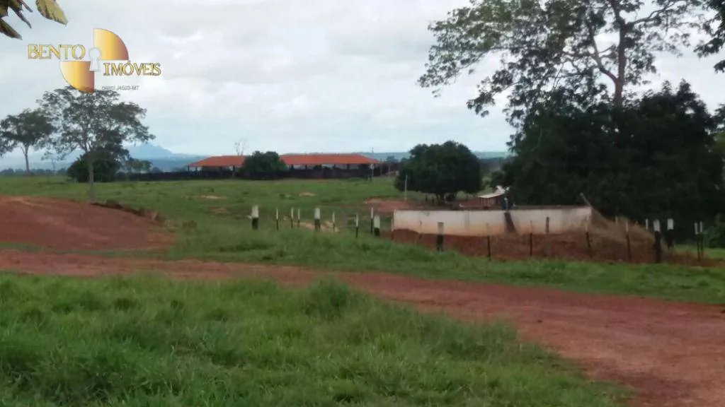 Fazenda à venda de 4.250 ha em Rondonópolis, MT, Brasil