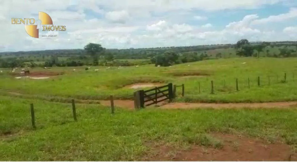 Fazenda à venda de 4.250 ha em Rondonópolis, MT, Brasil