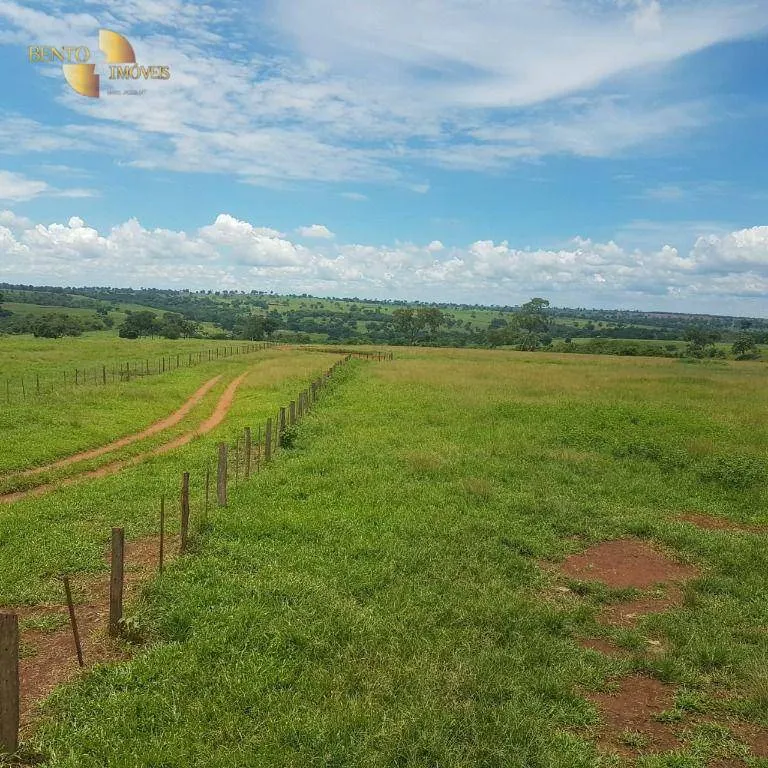 Fazenda à venda de 4.250 ha em Rondonópolis, MT, Brasil