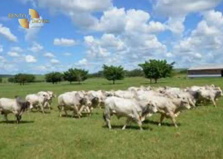 Fazenda à venda de 4.250 ha em Rondonópolis, MT, Brasil