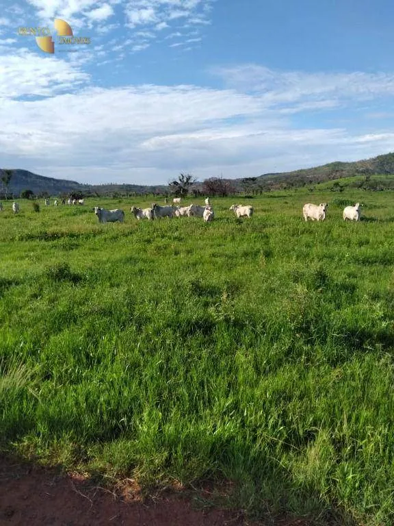 Fazenda à venda de 4.250 ha em Rondonópolis, MT, Brasil