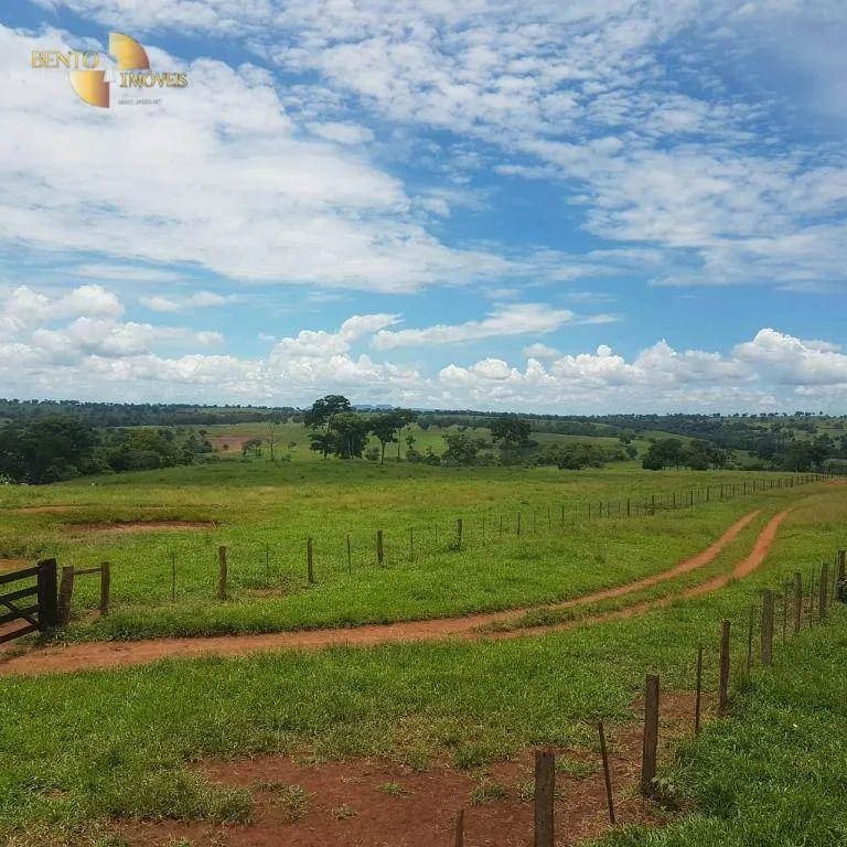 Fazenda à venda de 4.250 ha em Rondonópolis, MT, Brasil