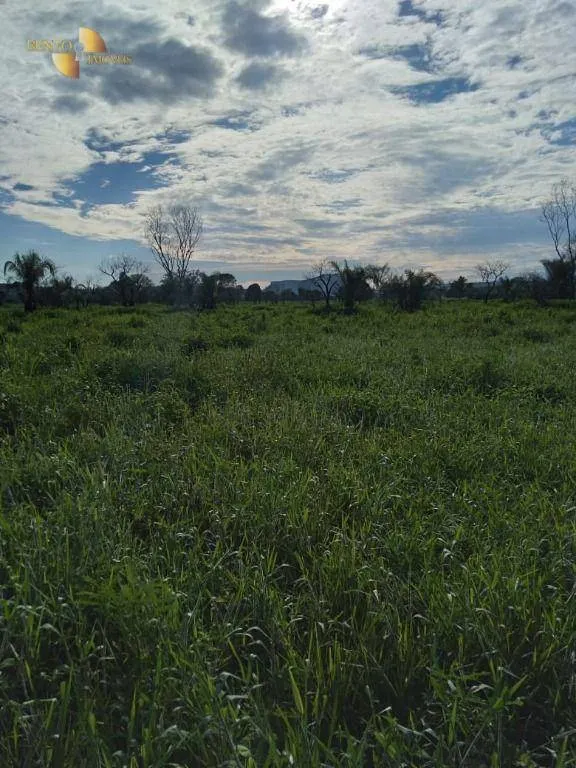Fazenda à venda de 4.250 ha em Rondonópolis, MT, Brasil