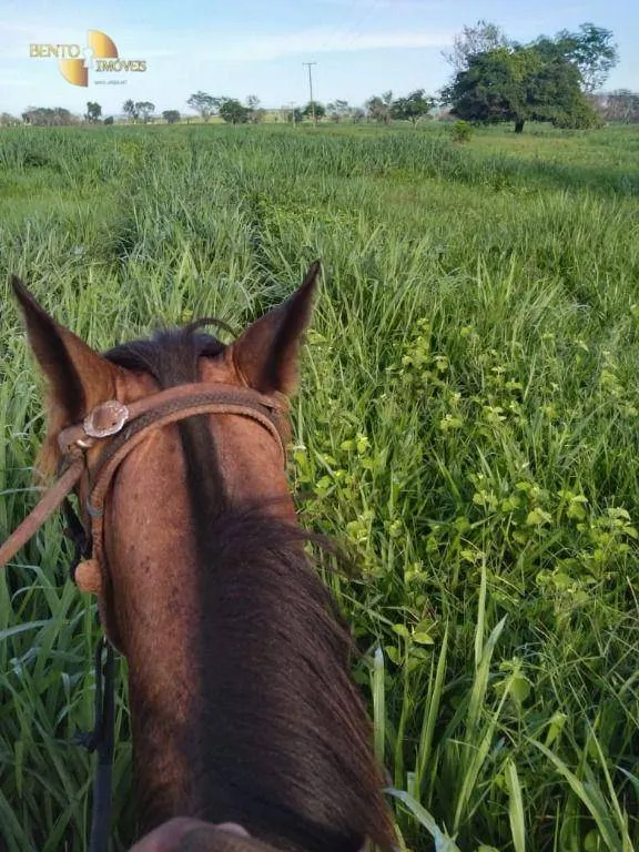 Fazenda à venda de 4.250 ha em Rondonópolis, MT, Brasil