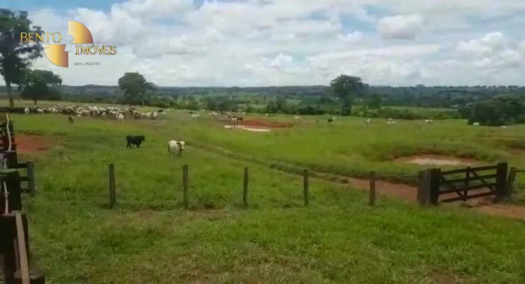 Fazenda à venda de 4.250 ha em Rondonópolis, MT, Brasil