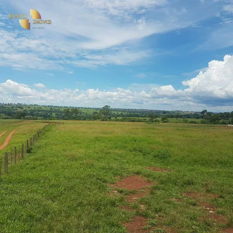 Fazenda à venda de 4.250 ha em Rondonópolis, MT, Brasil
