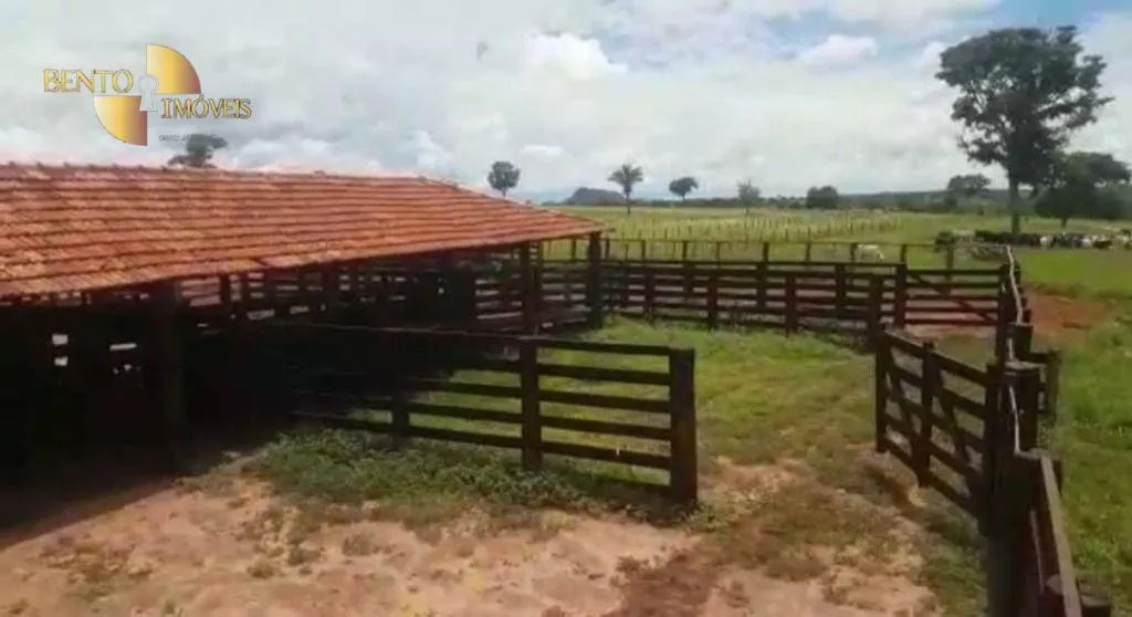 Fazenda à venda de 4.250 ha em Rondonópolis, MT, Brasil