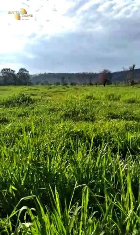 Fazenda à venda de 4.250 ha em Rondonópolis, MT, Brasil
