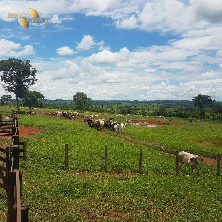 Fazenda à venda de 4.250 ha em Rondonópolis, MT, Brasil