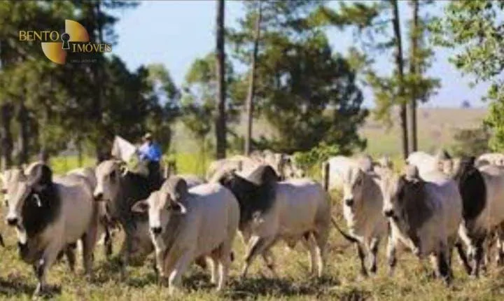 Fazenda à venda de 4.250 ha em Rondonópolis, MT, Brasil