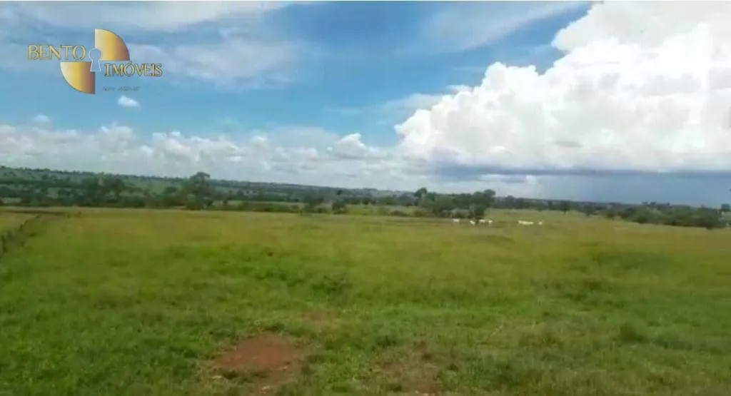 Fazenda à venda de 4.250 ha em Rondonópolis, MT, Brasil