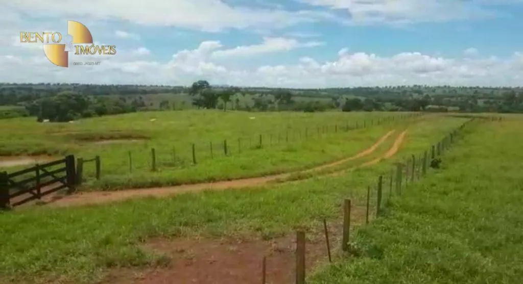 Fazenda à venda de 4.250 ha em Rondonópolis, MT, Brasil