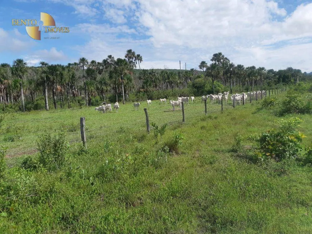Fazenda à venda de 186 ha em Santo Antônio do Leverger, MT, Brasil