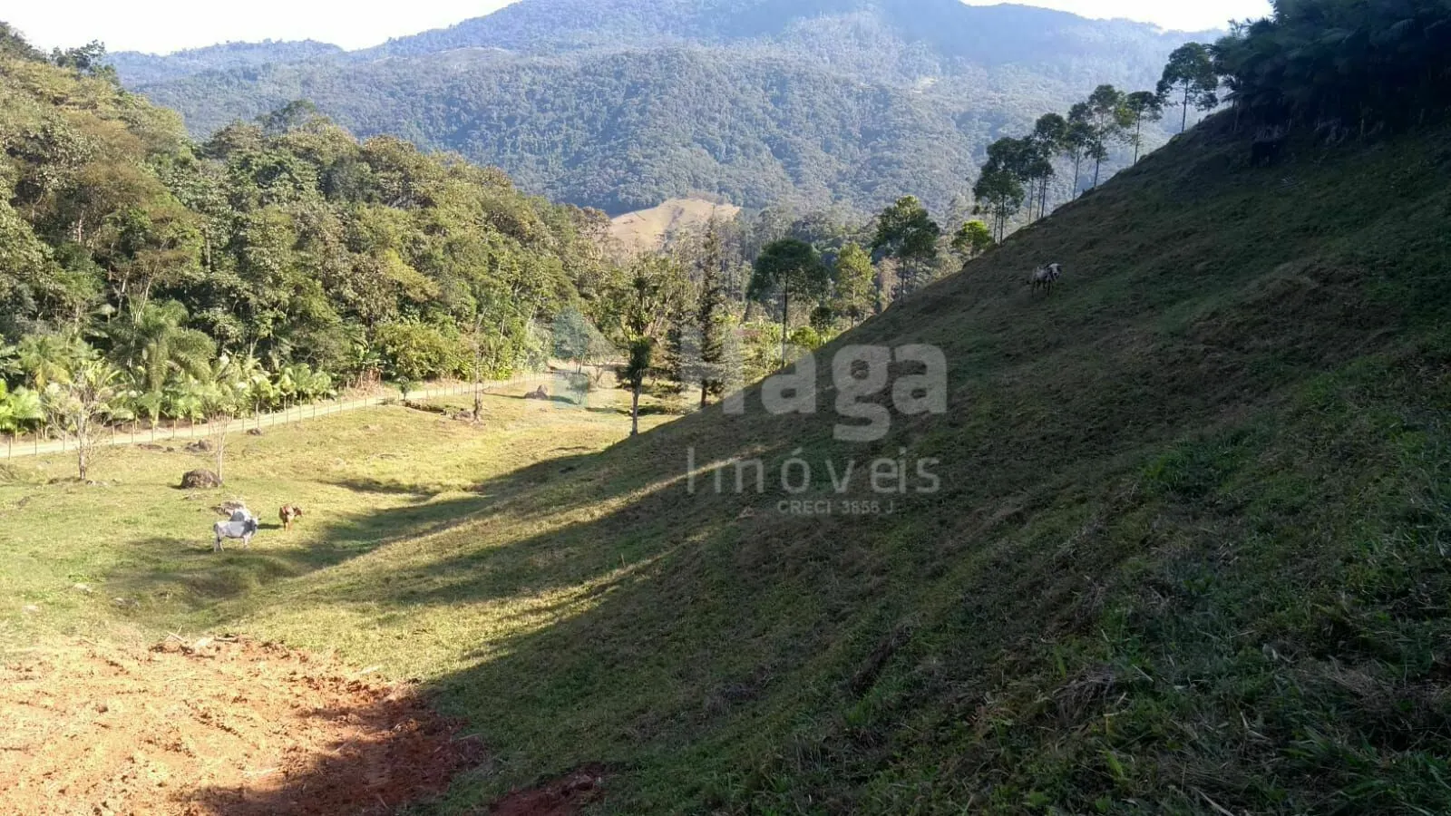 Plot for sale of 5 acres in Pomerode, SC, Brazil