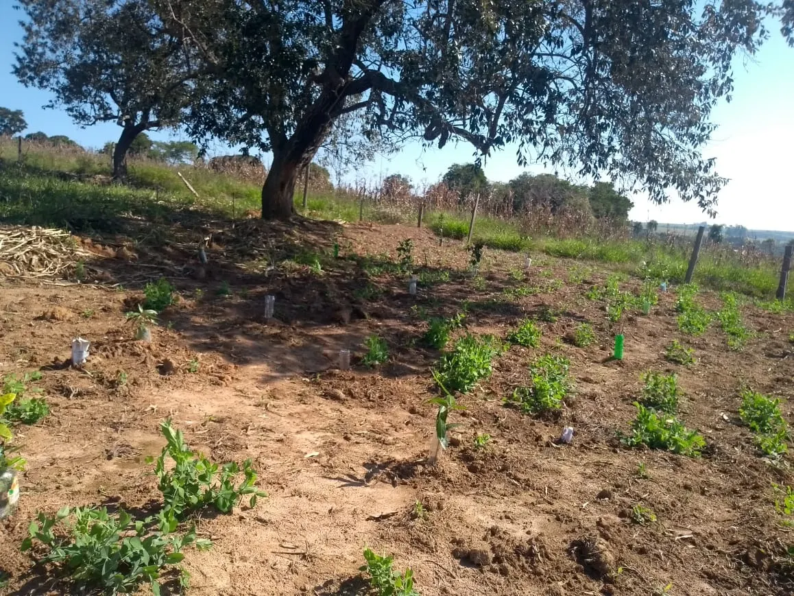 Terreno à venda de 1.520 m² em São Miguel Arcanjo, SP, Brasil